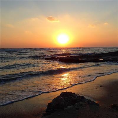 贝博app代言艾弗森