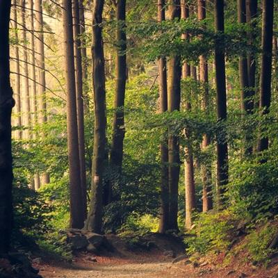 b体育官方入口在线登录网站